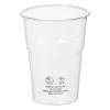 Bierglazen - 250 ml - set van 12