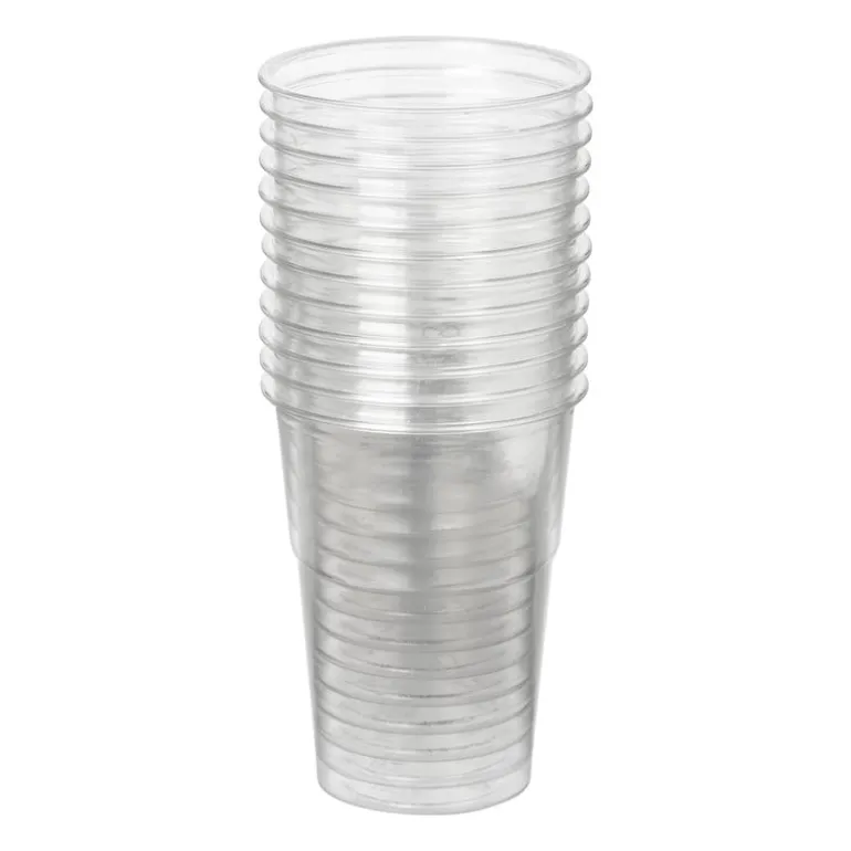 Bierglazen - 250 ml - set van 12