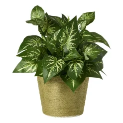Bloempot mand groot - diverse varianten - ø13.5x11 cm