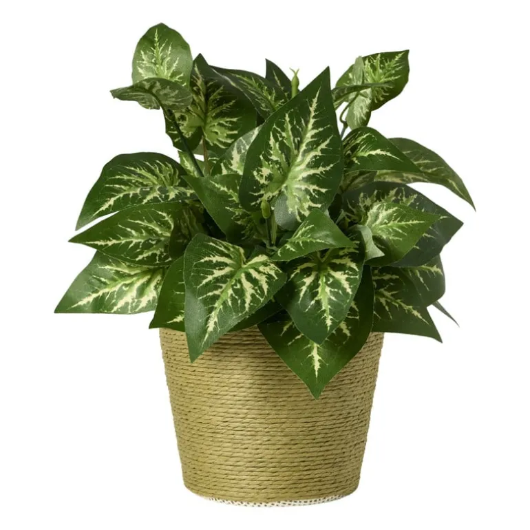 Bloempot mand groot - diverse varianten - ø13.5x11 cm