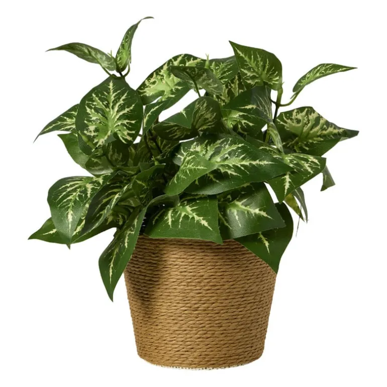 Bloempot mand groot - diverse varianten - ø13.5x11 cm