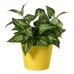 Bloempot mand groot - diverse varianten - ø13.5x11 cm