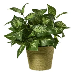 Bloempot mand klein - diverse varianten - ø12x9 cm