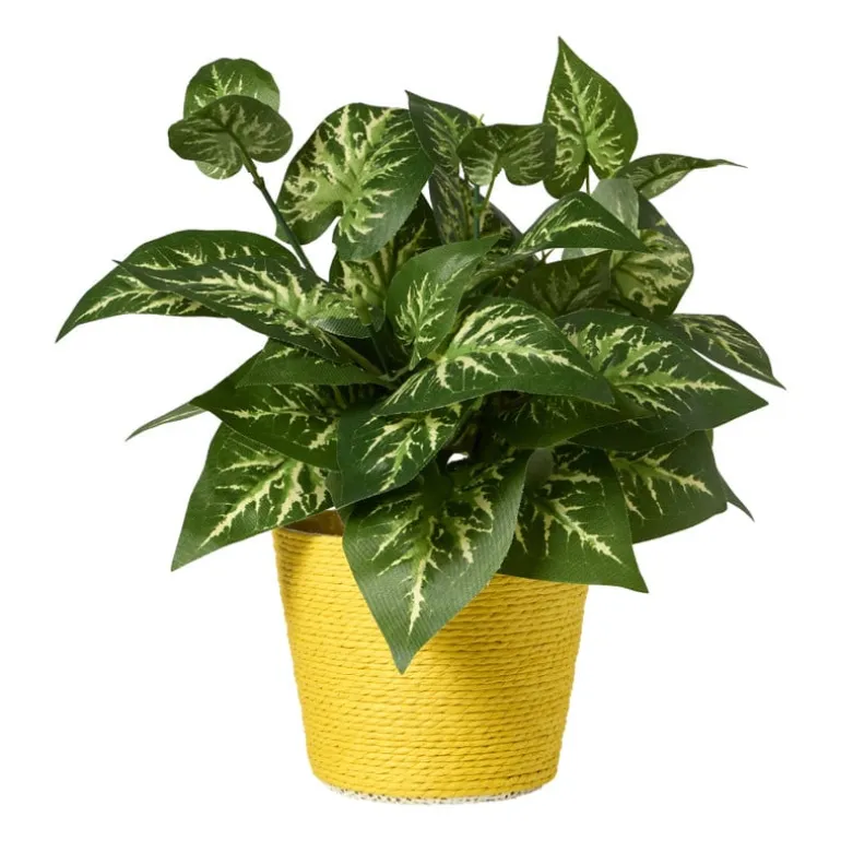 Bloempot mand klein - diverse varianten - ø12x9 cm