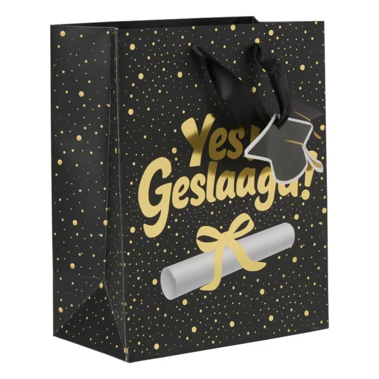 Cadeautas geslaagd - zwart/goudkleurig - 18x10x23 cm