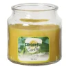 Citronella kaars in glas - geel - ø10x13.5 cm