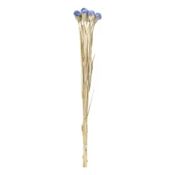 Droogbloemen - diverse varianten - 38 cm
