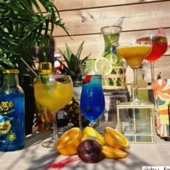 Gin tonic glas - 65 cl - set van 4