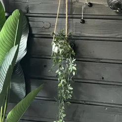 Hangplant - 65 cm