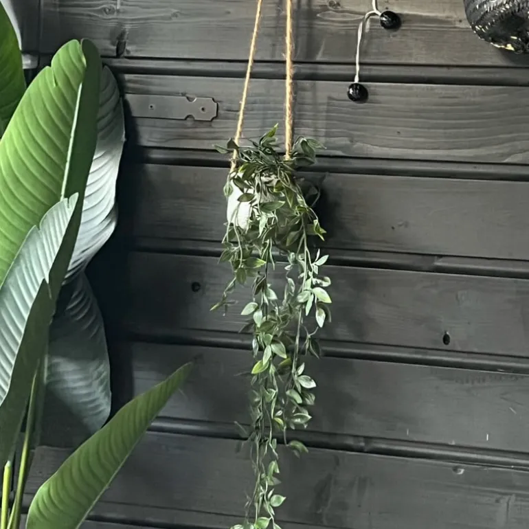 Hangplant - 65 cm