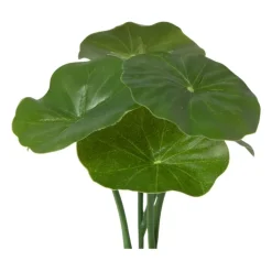 Kunstplant mini pannenkoekenplant - 13 cm