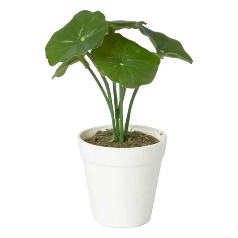 Kunstplant mini pannenkoekenplant - 13 cm