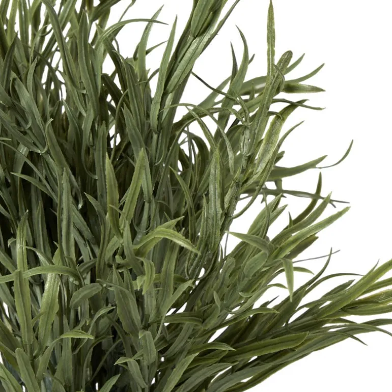 Lavendel plantje in pot - groen - ø16x24 cm