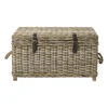 Opbergkist rotan - bruin - 45x80x55 cm