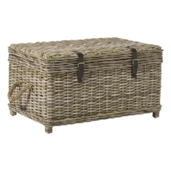 Opbergkist rotan - bruin - 45x80x55 cm