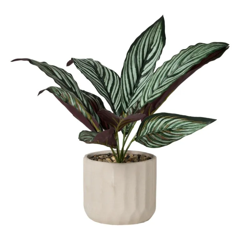 Plant in pot - ø10.5x26 cm - diverse varianten