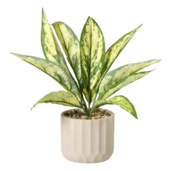 Plant in pot - ø10.5x26 cm - diverse varianten