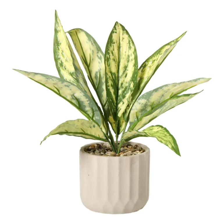 Plant in pot - ø10.5x26 cm - diverse varianten