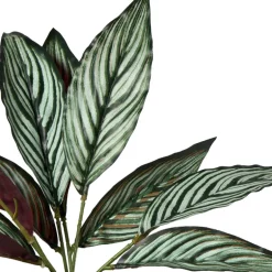 Plant in pot - ø10.5x26 cm - diverse varianten