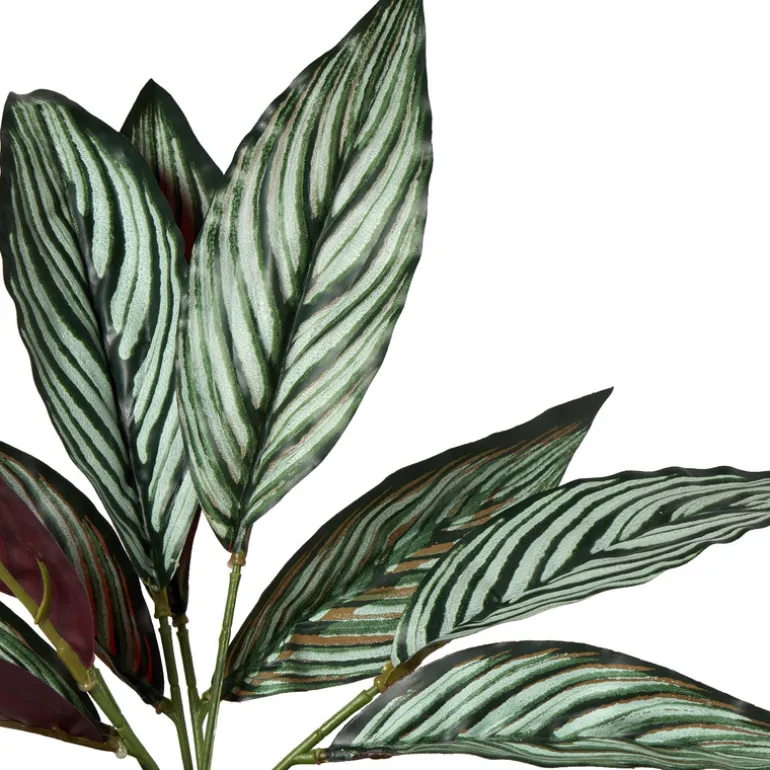 Plant in pot - ø10.5x26 cm - diverse varianten