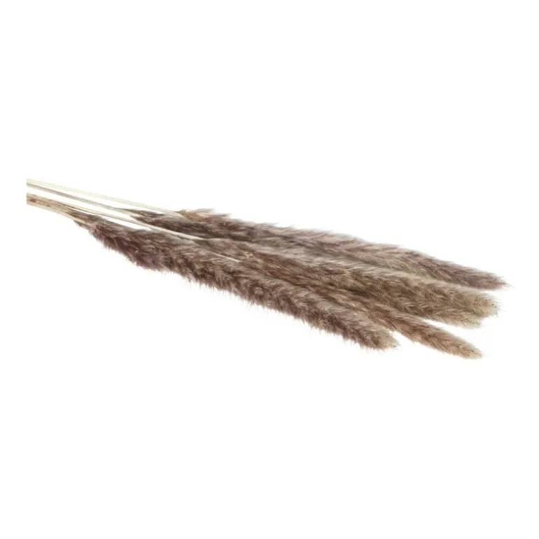 Pluim smal - 6 stuks - 70 cm