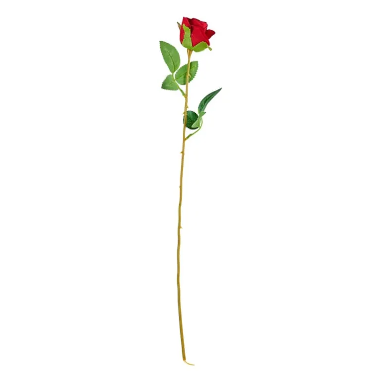 Roos rood - 56 cm