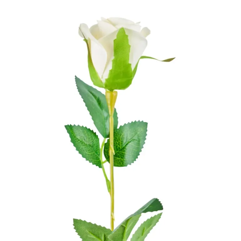 Roos wit - 56 cm