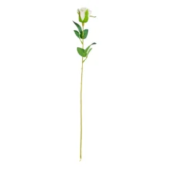 Roos wit - 56 cm