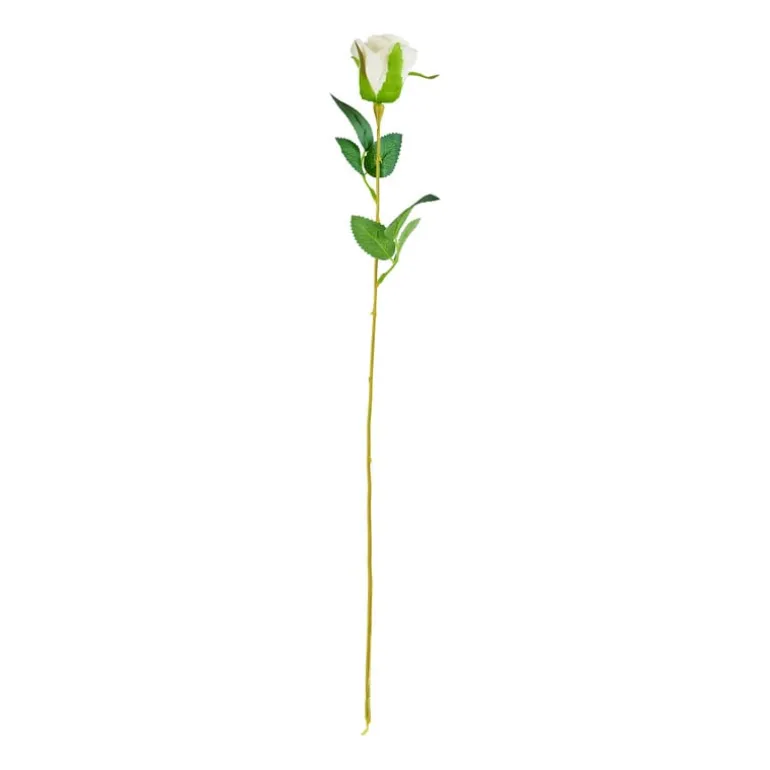Roos wit - 56 cm