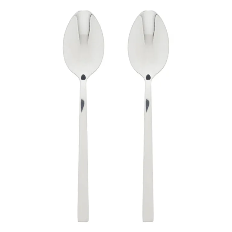 Tafellepels - zilverkleurig - set van 2