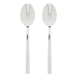 Theelepels - zilverkleurig - set van 2