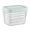 Vershoudbakjes - 500 ml - set van 3