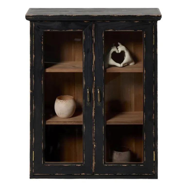 Vitrinekast 2 deuren - zwart - 60x50x15 cm
