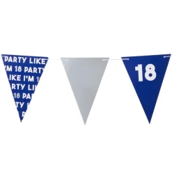 Vlaggenlijn 18 jaar - blauw - 10 meter