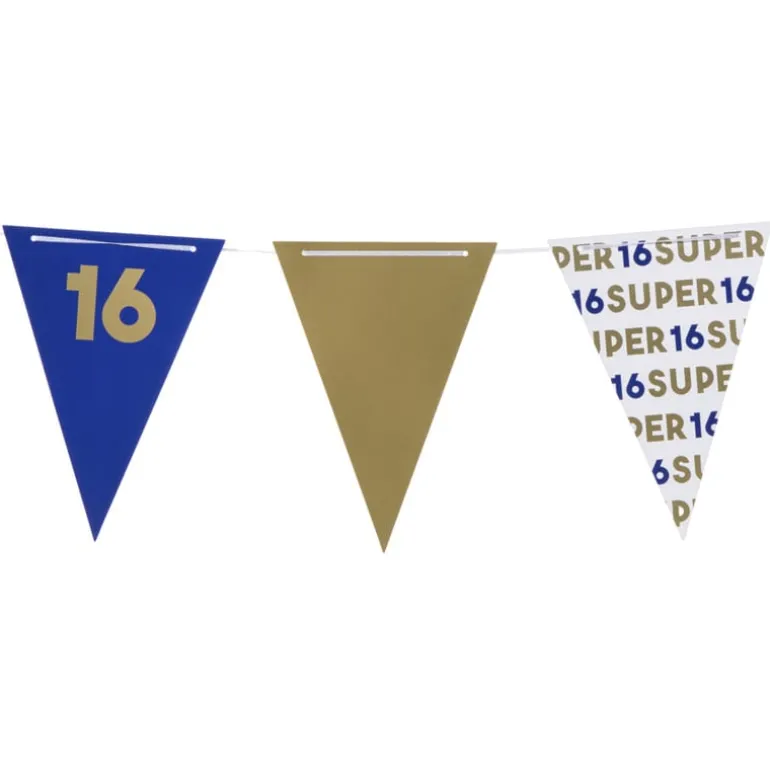 Vlaggenlijn 16 jaar - blauw - 10 meter